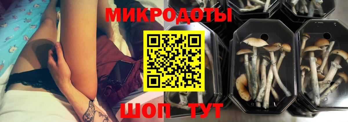 Псилоцибиновые грибы мицелий  Псилоцибиновые грибы MAGIC MUSHROOMS  Вход с VPN  Дзержинск 