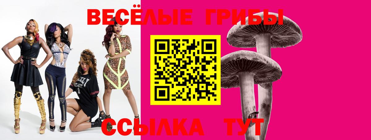 Псилоцибиновые грибы Cubensis Дзержинск