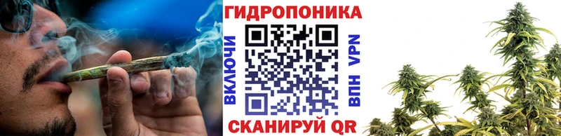 Марихуана план нарко площадка формула Дзержинск